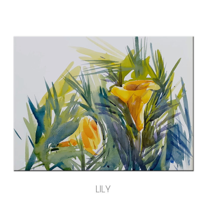 lily b